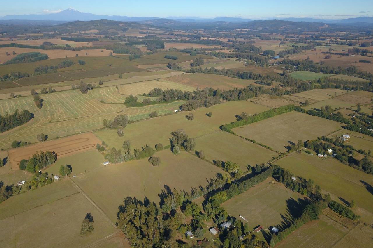 Parcelas Gorbea 5000 m2